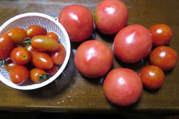 トマト3種