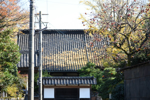お寺の屋根