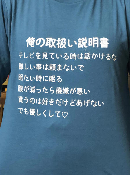 Tシャツ 01
